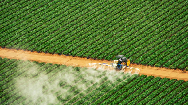Best Pest Control Cost  in East Helena, MT