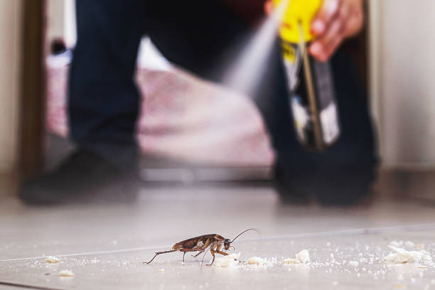 Best Commercial Pest Control Services  in East Helena, MT